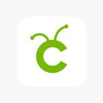 Cricut setup Profile Picture