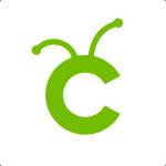 Cricut Setup profile picture