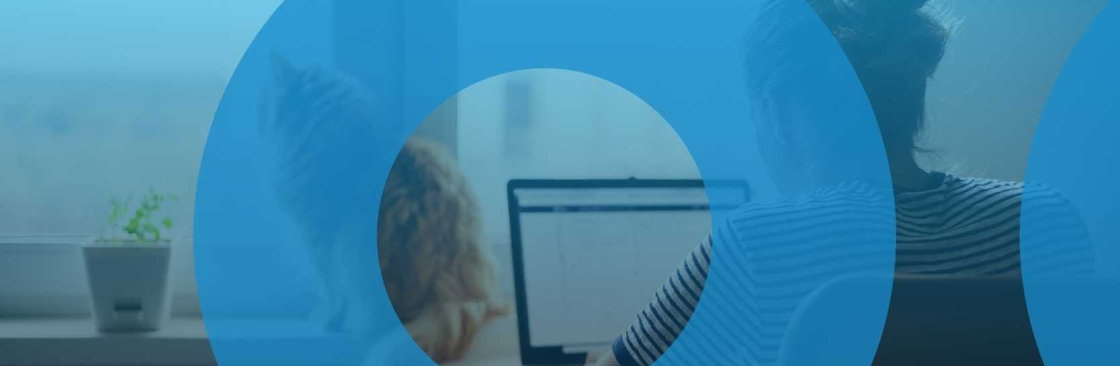 Network Consultancy Cover Image