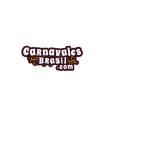 Carnavales brasil Profile Picture