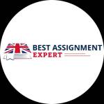 Best assignment expert Profile Picture