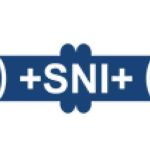 Shri Nanda Industries Profile Picture