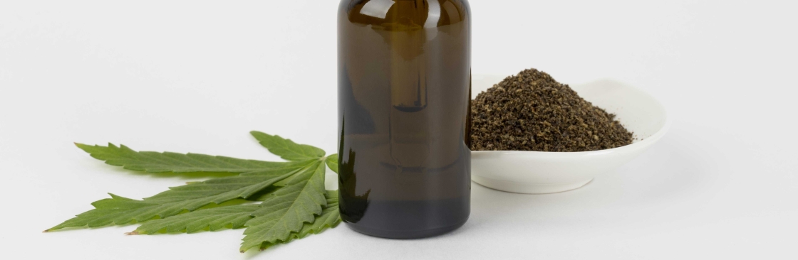 Bring Delta Cover Image