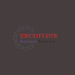 TecDivine Business Solutions LLC Profile Picture