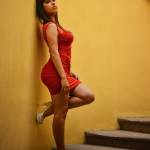 Pune Escorts Service Profile Picture