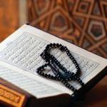 nabihaqamar Profile Picture