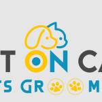 Cut On Car Pets Grooming Profile Picture