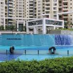 purva oakshire purvaoakshire Profile Picture