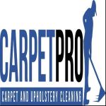 Carpet Clean Profile Picture