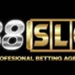 RTPlive338slot Profile Picture