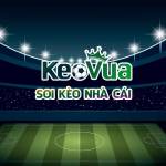 Keovua Soi Kèo Nhà Cái Profile Picture