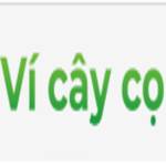 Ví Cây Cọ profile picture