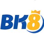 cachnaptienbk8 Profile Picture