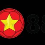 vn88bz Profile Picture