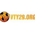 vty29 org profile picture