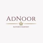 Adnoor Inc profile picture