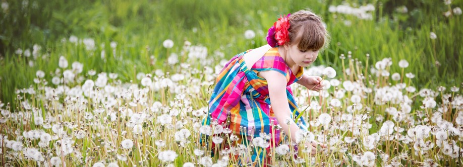 MartIn Cart Store Cover Image