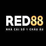 red88limo Profile Picture