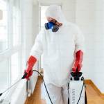 NI Pest Control Proofing Profile Picture