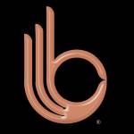 Best Solution Business Consultancy Profile Picture