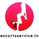 Escort Service in Gurgaon Profile Picture