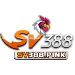 SV388 NhĂ  cĂĄi SV388 chĂnh thức Profile Picture