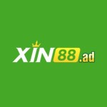 Xin88 ad Profile Picture