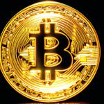 Stable Capital Pro Plattform Profile Picture