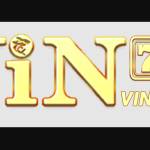 ncvin777net Profile Picture