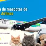 Airlines Telefono Profile Picture