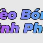 Kèo Bóng Đá Bình Phước Soi Kèo Bóng Profile Picture