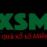 Qua Xo So MT chieu nay chuan nhat 2023 KQ SXMT MIEN TRUNG Web Ket Profile Picture