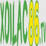 Xoilac Khám Phá Thế Giới Bóng Đá Profile Picture