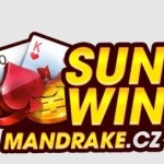 Sunwin Profile Picture