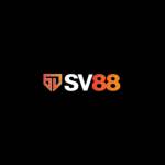 blue SV88 Profile Picture
