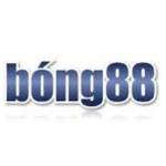 BONG88 Profile Picture