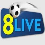 8livevnapp Profile Picture