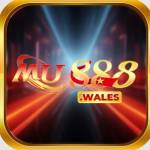 mu 888 Profile Picture