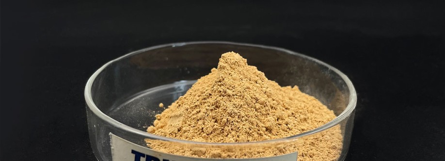 keaton Parker Cover Image