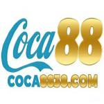 coca8838com Profile Picture