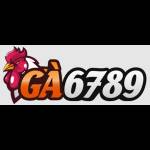 Đá gà trực tiếp Campuchia C1 C2 C3 C4 Profile Picture