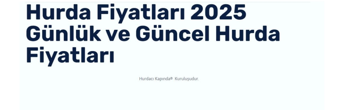 Hurdacı Z Cover Image