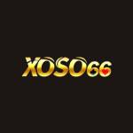 Nhà Cái Xoso66 Profile Picture