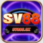 SV88 SV88 Profile Picture