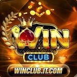 Nhà cái Winclub Profile Picture