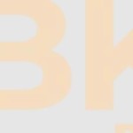 bk8 pro Profile Picture