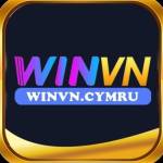 winvn winvn Profile Picture