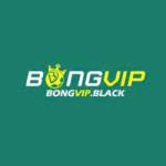 Nhacai BONGVIP Profile Picture