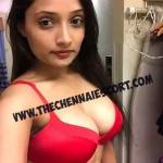 thechennaiescorts0 Profile Picture