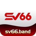 band SV66 Profile Picture